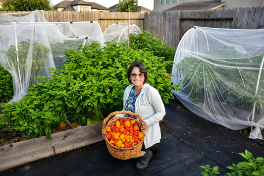 Clase de Siembra de Ají Dulce. 1 DE FEBRERO 2026