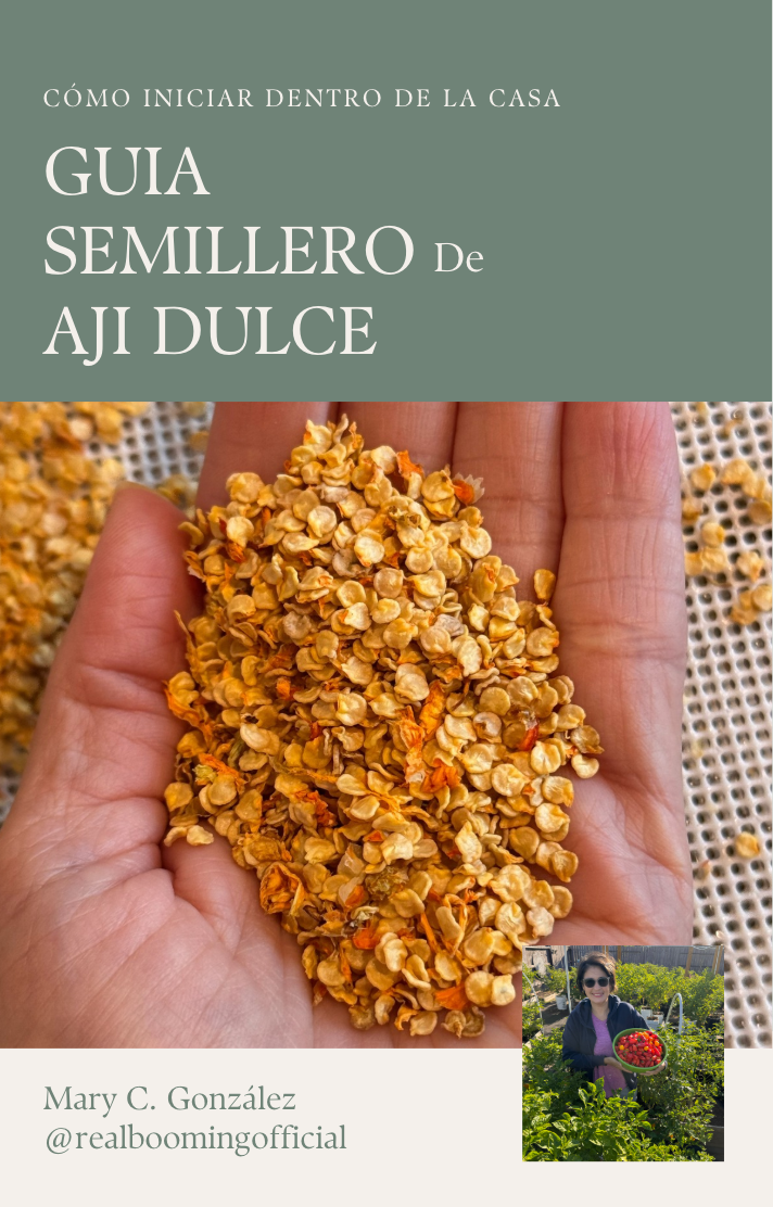 Clase de Semillero